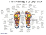 reflexology-chart-and-oil-use